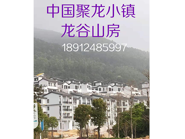 中国聚龙小镇龙谷山房